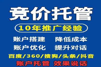 顶级SEM服务公司案例解析
