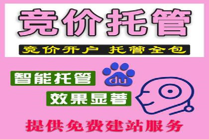 SEM竞价优化实战技巧：案例展示广告投放优化